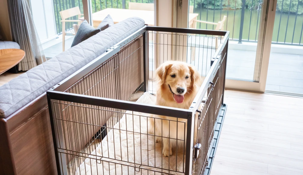 愛犬用の客室設備・アメニティ