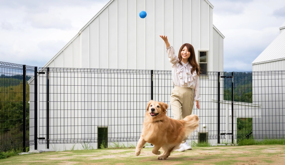 ドッグパーク